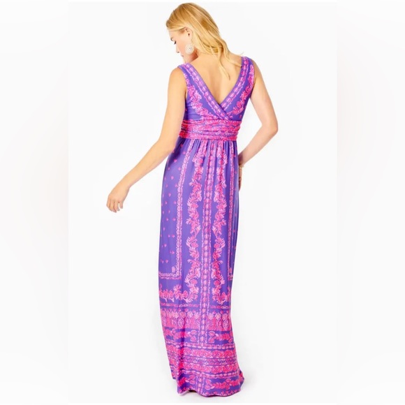 NWT Lilly Pulitzer Margarita Maxi Dress - Picture 4 of 10